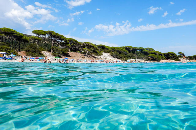 Pallombaggia  Pallombaggia